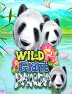 betflik เครดิตฟรี 2023 ทดลองเล่นเกมสปิน